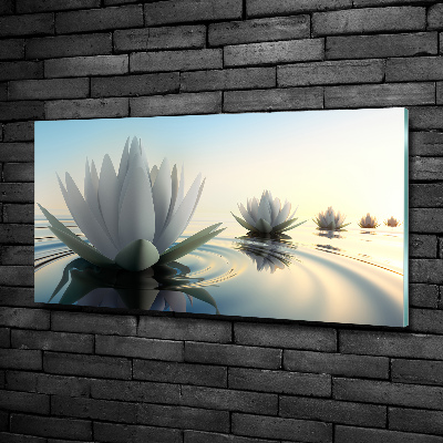 Foto glasbild Lotosblume
