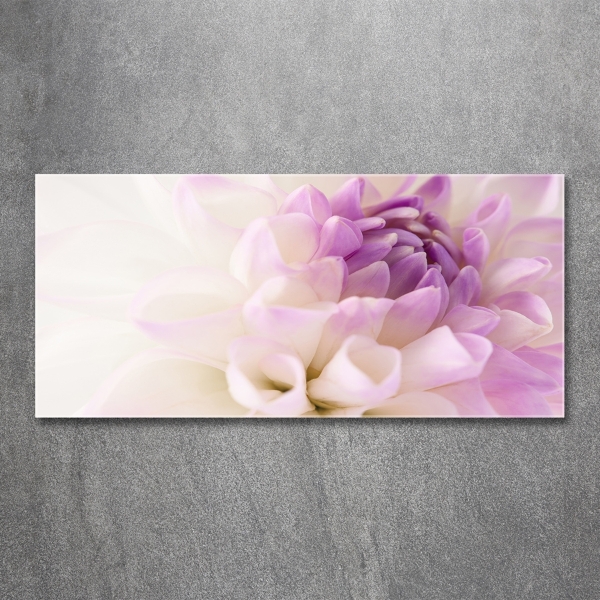 Glasbild Weiße Dahlie