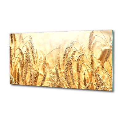 Bild auf glas Getreide