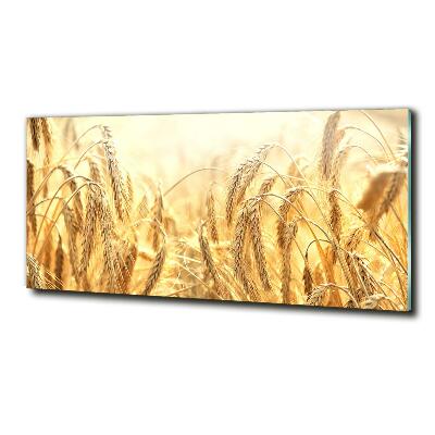 Bild auf glas Getreide