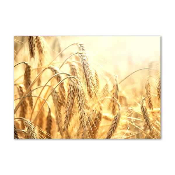 Bild auf glas Getreide