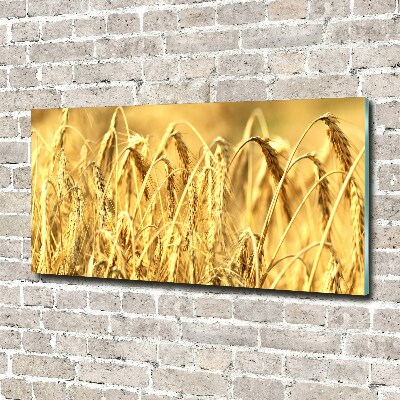 Glasbild Getreide