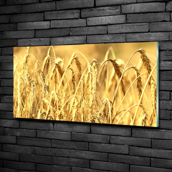 Glasbild Getreide