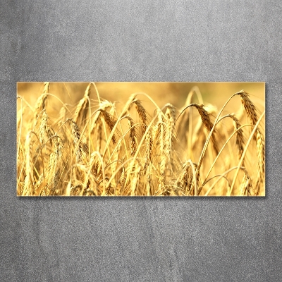 Glasbild Getreide