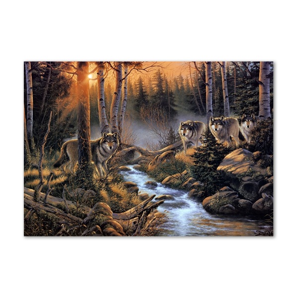 Bild auf glas Ein Wolfsrudel