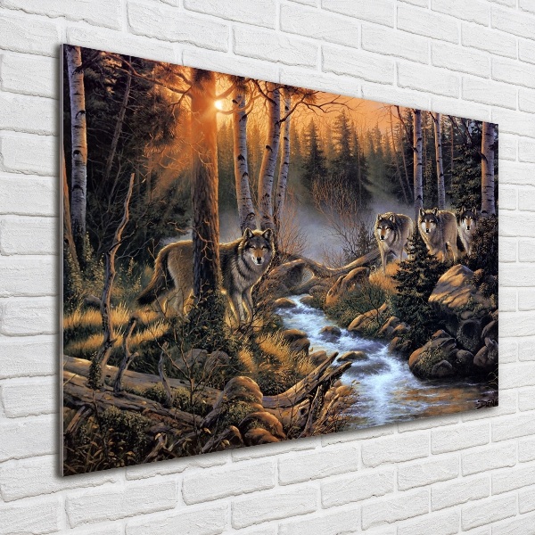 Bild auf glas Ein Wolfsrudel
