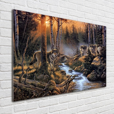 Bild auf glas Ein Wolfsrudel