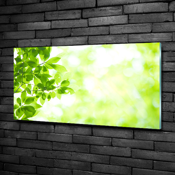 Glasbild Blätter