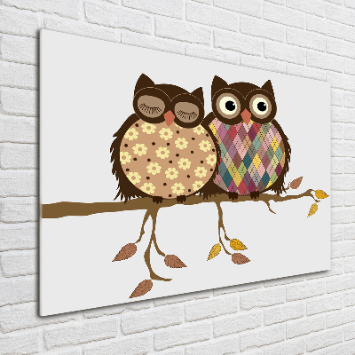 Glasbild Zwei Eulen auf einem Ast