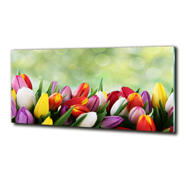 Bild auf glas Bunte Tulpen