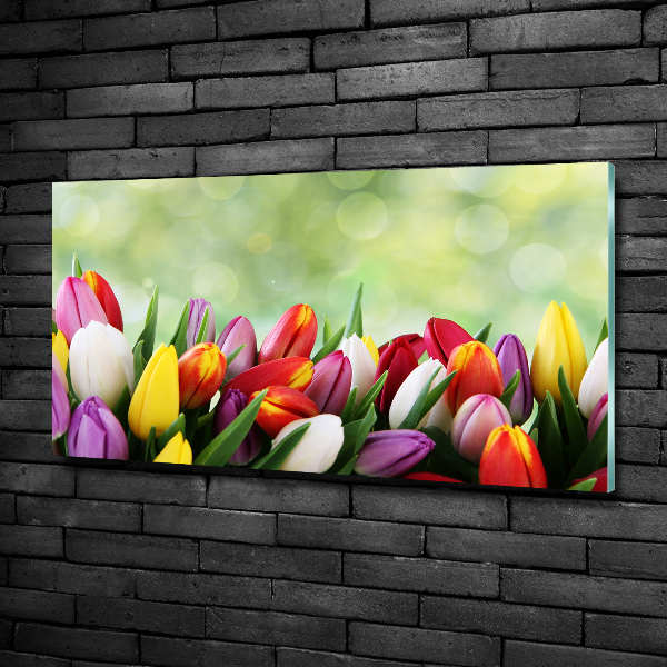 Bild auf glas Bunte Tulpen