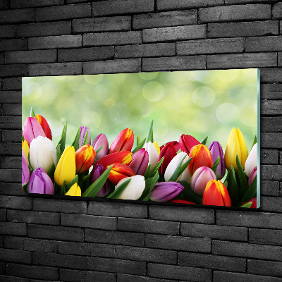 Bild auf glas Bunte Tulpen