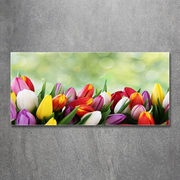 Bild auf glas Bunte Tulpen