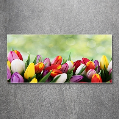 Bild auf glas Bunte Tulpen