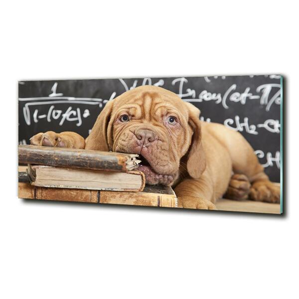 Bild auf glas Der Hund beißt das Buch an