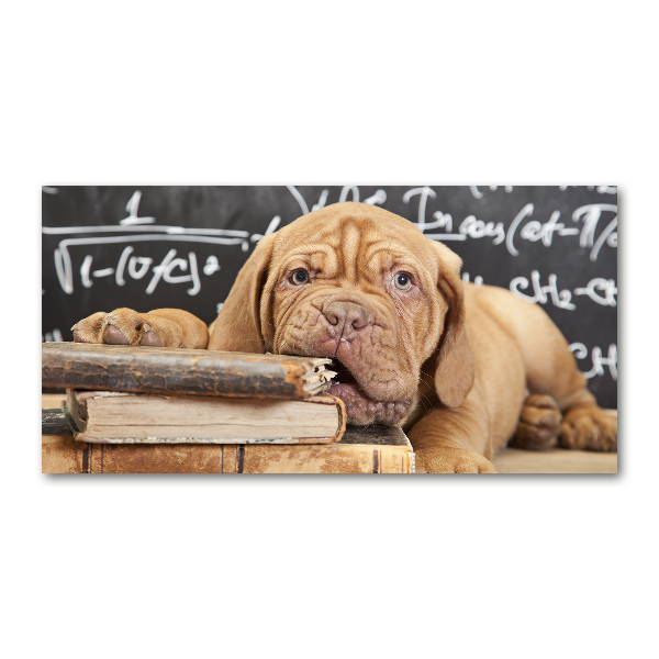 Bild auf glas Der Hund beißt das Buch an