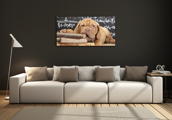 Bild auf glas Der Hund beißt das Buch an