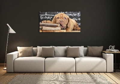 Bild auf glas Der Hund beißt das Buch an