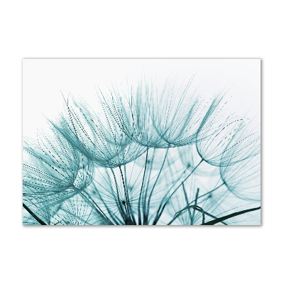 Bild auf glas Löwenzahnsamen