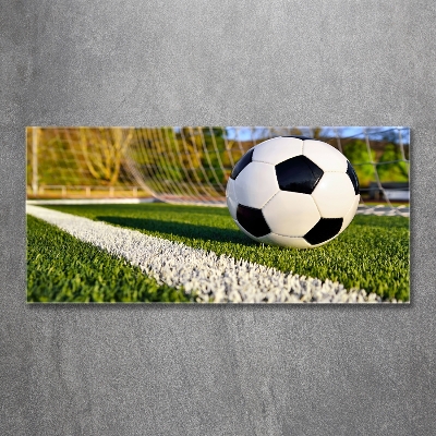 Bild auf glas Der Ball ist im Tor