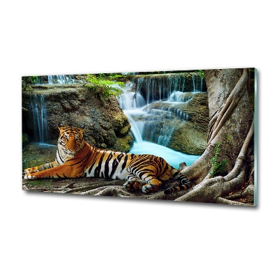 Foto glasbild Tigerwasserfall