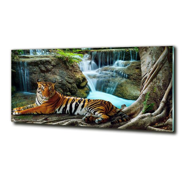 Foto glasbild Tigerwasserfall