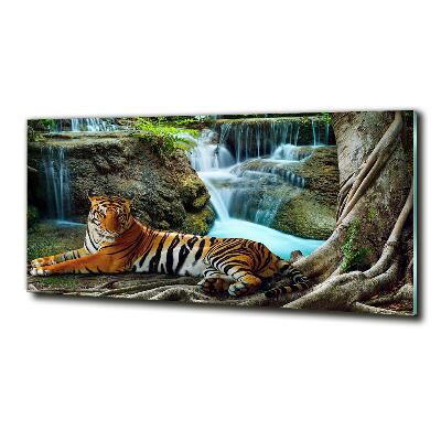 Foto glasbild Tigerwasserfall
