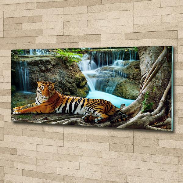Foto glasbild Tigerwasserfall