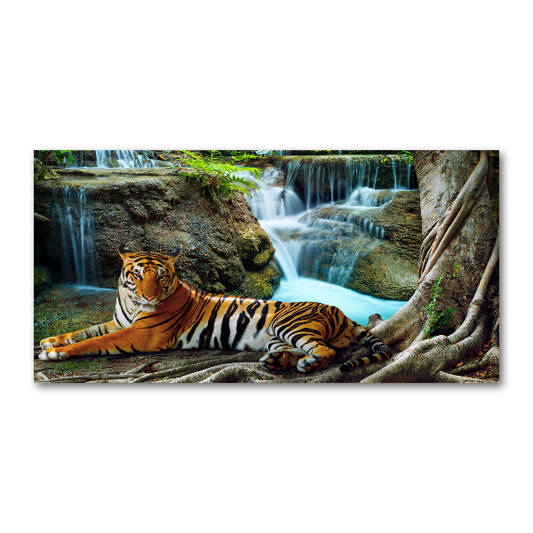 Foto glasbild Tigerwasserfall