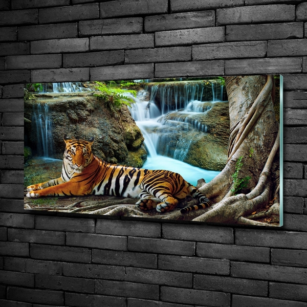 Foto glasbild Tigerwasserfall