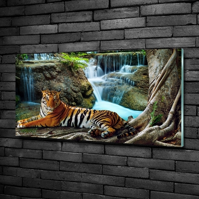 Foto glasbild Tigerwasserfall