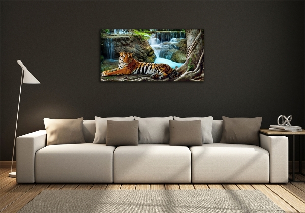 Foto glasbild Tigerwasserfall