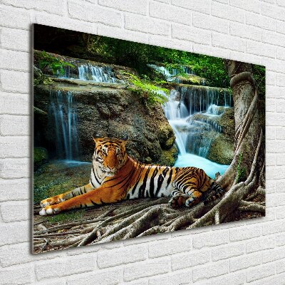 Foto glasbild Tigerwasserfall