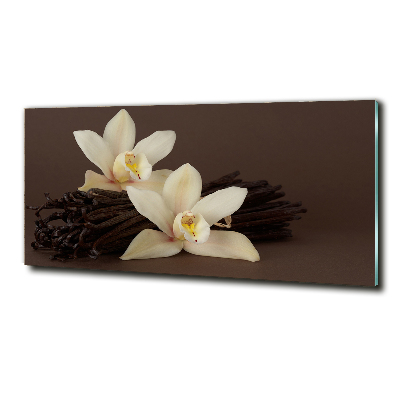 Glasbild Vanilleschoten