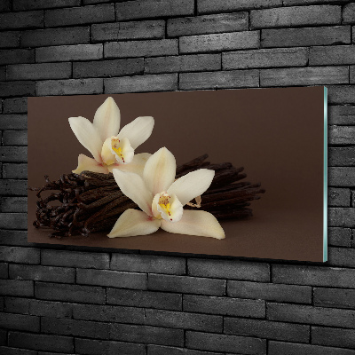 Glasbild Vanilleschoten