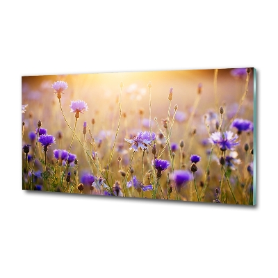 Foto glasbild Wildblumen