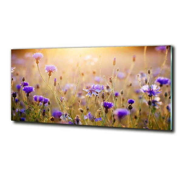 Foto glasbild Wildblumen
