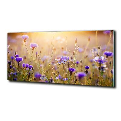 Foto glasbild Wildblumen