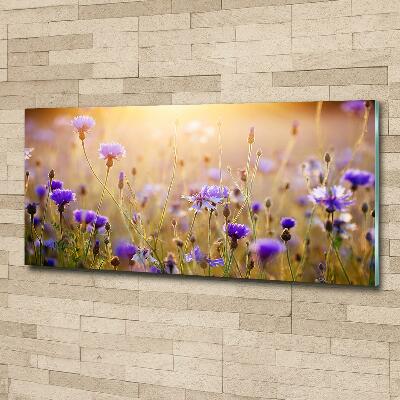 Foto glasbild Wildblumen