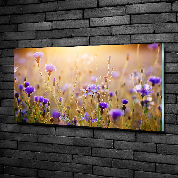 Foto glasbild Wildblumen