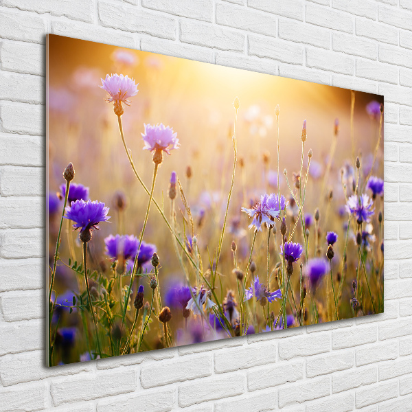Foto glasbild Wildblumen
