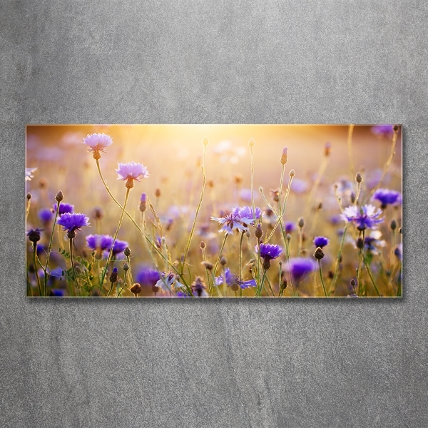 Foto glasbild Wildblumen