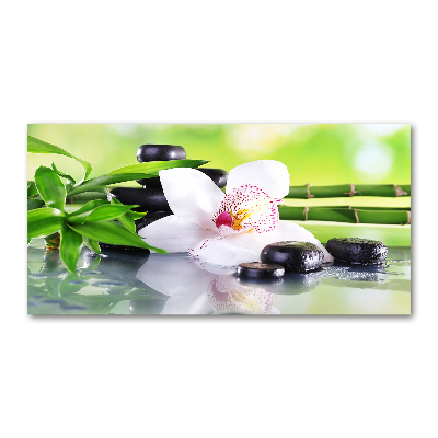 Foto glasbild Orchidee