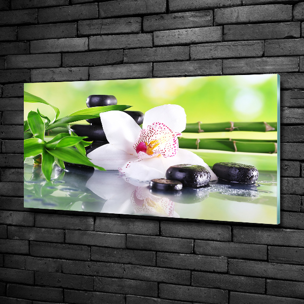 Foto glasbild Orchidee