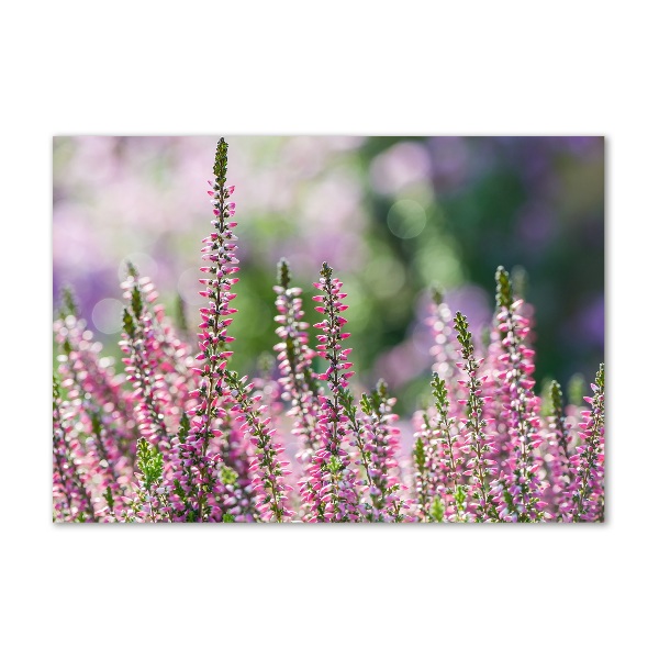 Glasbild Heidekrautblüten