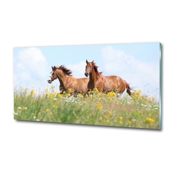 Glasbild Zwei galoppierende Pferde