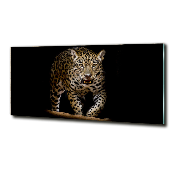 Foto glasbild Jaguar