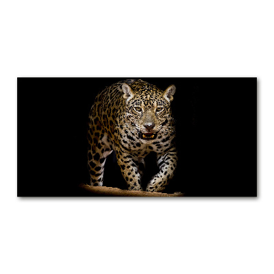 Foto glasbild Jaguar