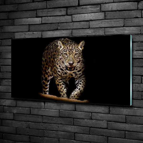 Foto glasbild Jaguar