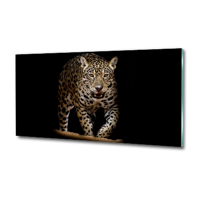 Foto glasbild Jaguar